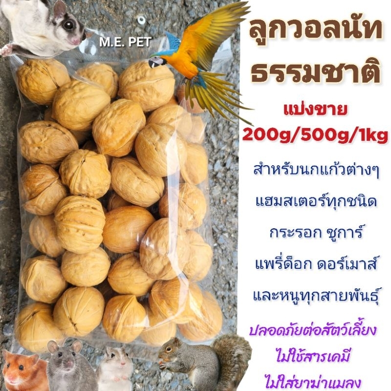 Walnut ลูกวอลนัทสำหรับสัตว์เลี้ยง วอลนัทอบแห้ง สำหรับนกแก้ว กระรอก หนูต่างๆ (แบ่งขาย200g/500g/1kg)