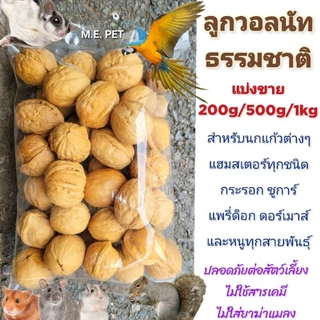 Walnut ลูกวอลนัทสำหรับสัตว์เลี้ยง วอลนัทอบแห้ง สำหรับนกแก้ว กระรอก หนูต่างๆ (แบ่งขาย200g/500g/1kg)