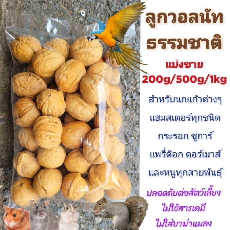 ลูกวอลนัทสำหรับสัตว์เลี้ยง (แบ่งขาย200/500/1kg)