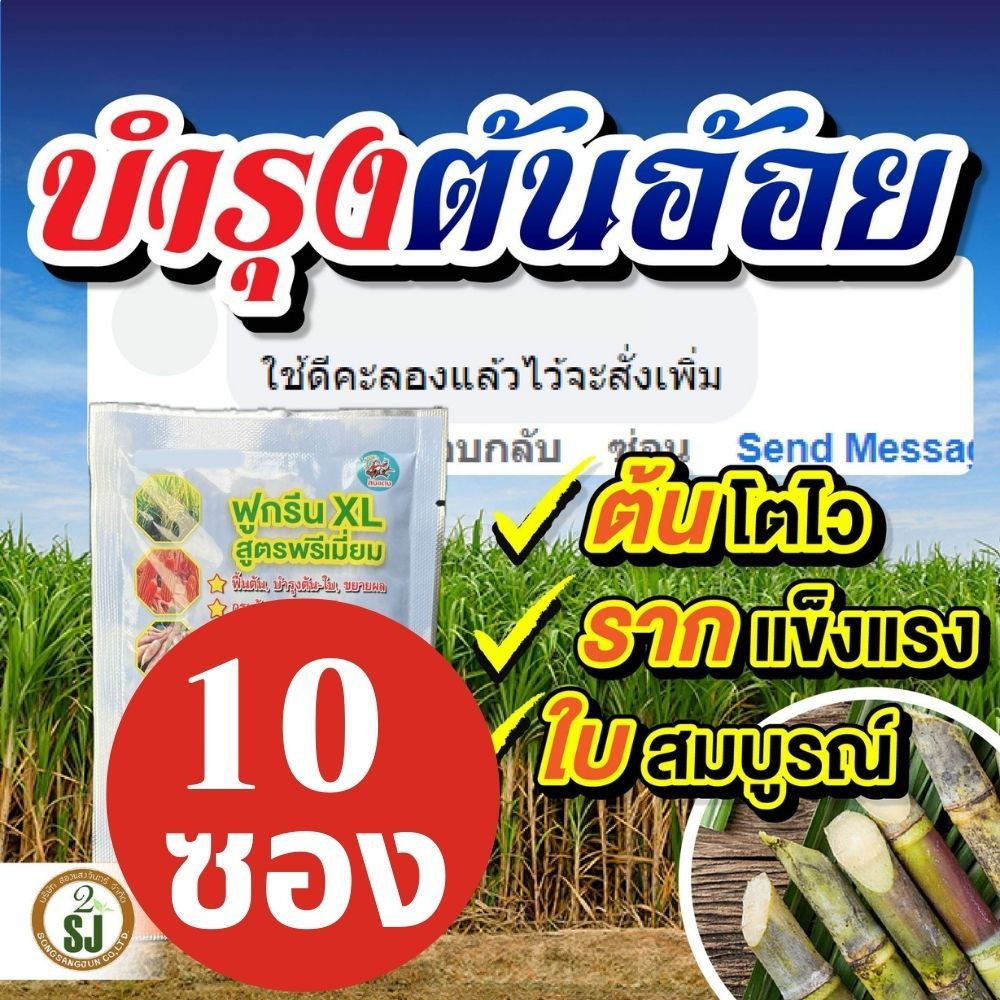 ฟูกรีนXLเขียวขนลุกสูตรพรีเมี่ยม เชตสุดคุ้ม10ซอง เร่งราก แตกใบ แตกกอไวใบเขียว เพิ่มสารอาหาร ดินดีเพิ่มธาตุอาหารให้กับพืช