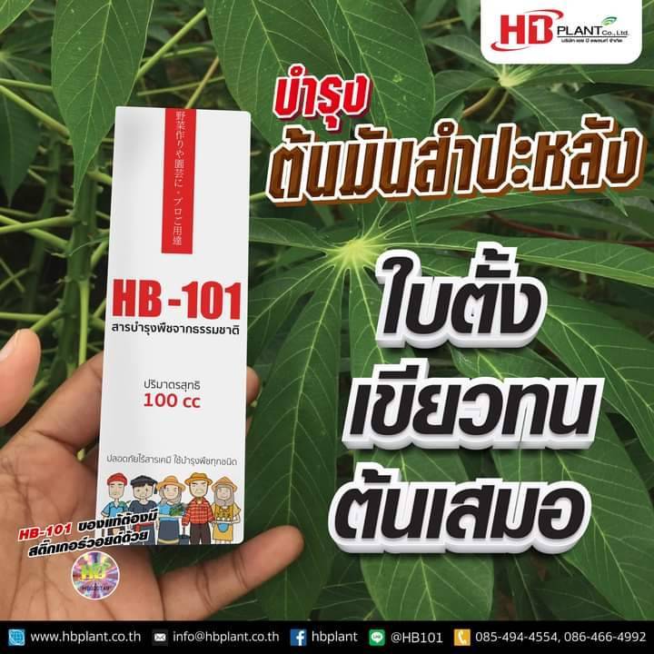 เซรั่ม HB-101 ฮอร์โมนบำรุงหน้ายาง เซรั่มรักษาหน้ายาง ปุ๋ยเขียว