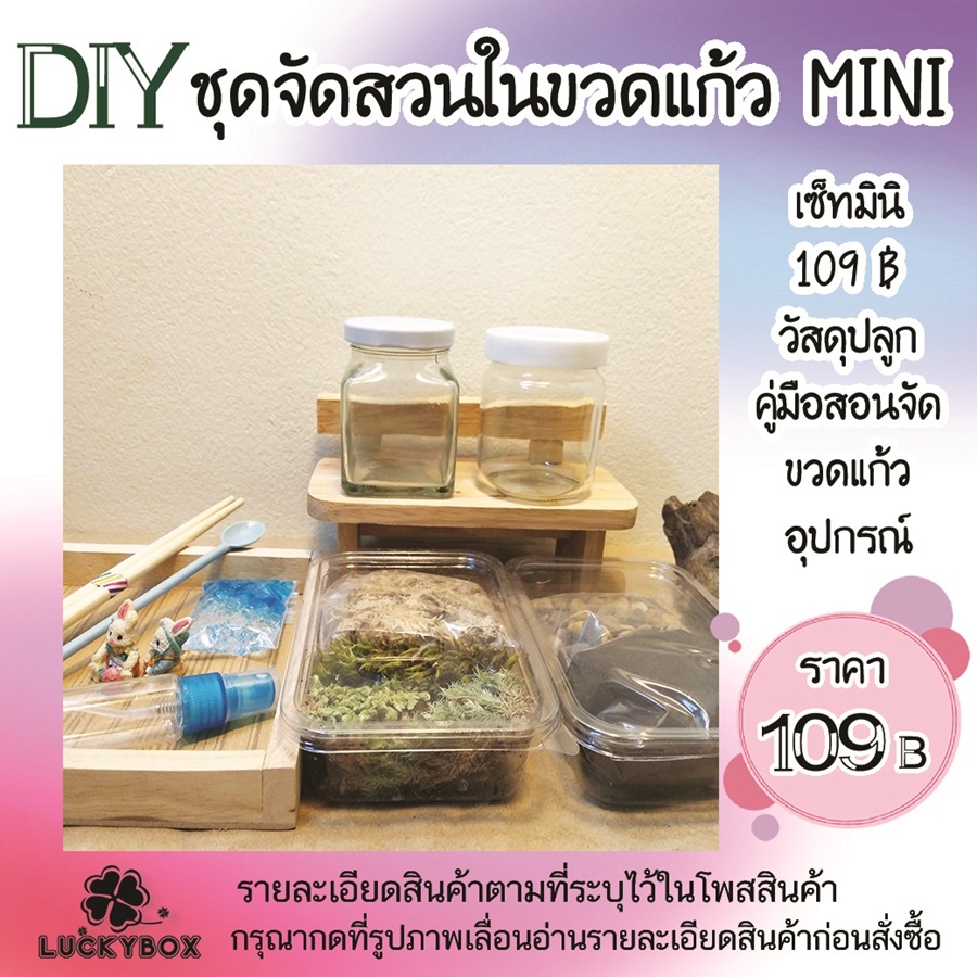 สวนขวด DIY สวนในขวดแก้ว เซ็ทพร้อมขวด มินิ 109 บาท