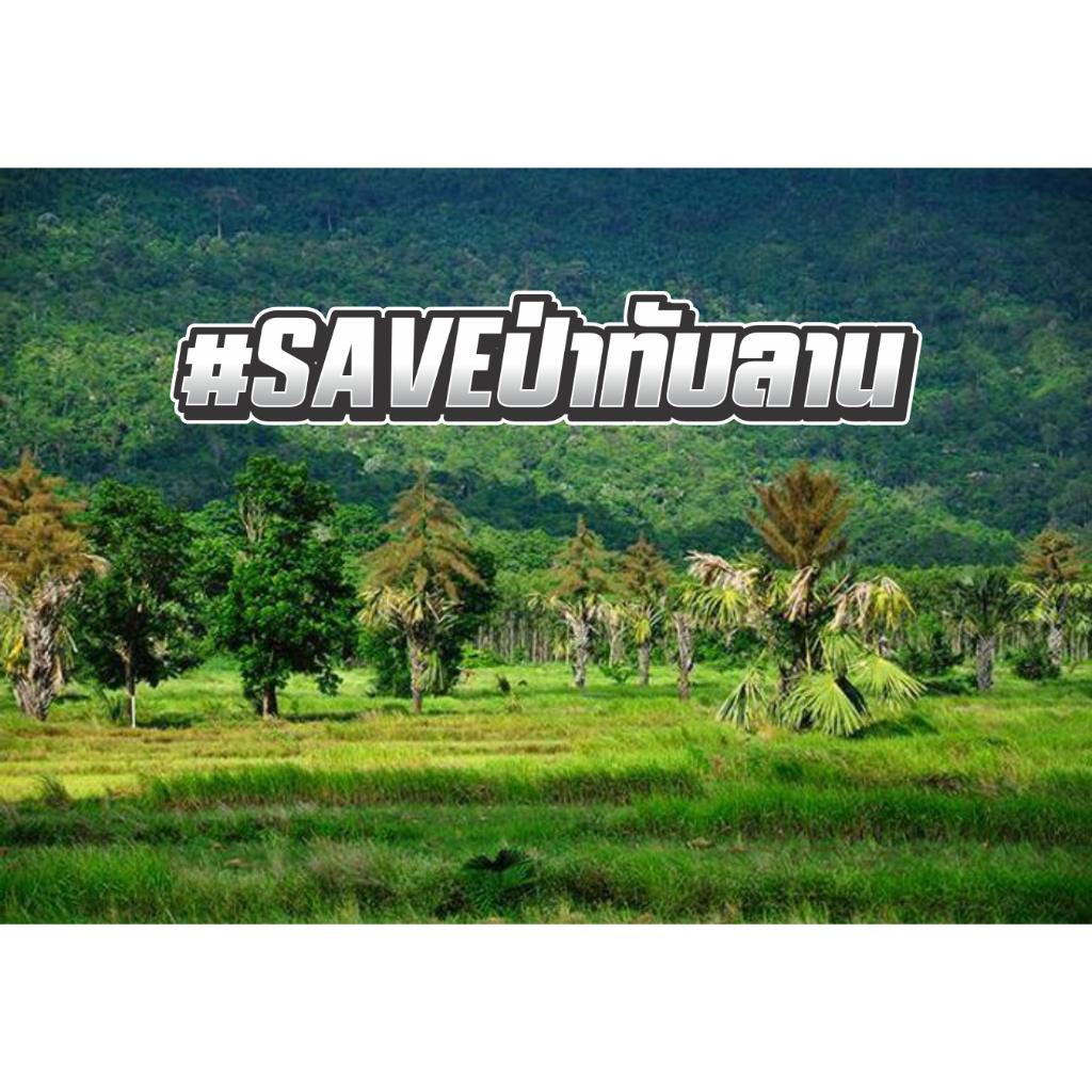 สติกเกอร์ SAVEป่าทับลาน ธรรมดา ติดมอไซ รถยนต์