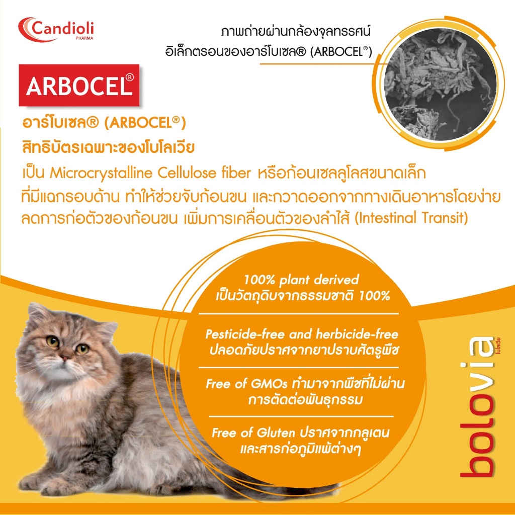 Candioli : BoloVia [แท้💯] เจลป้องกันและกำจัดก้อนขน สำหรับแมว จากประเทศอิตาลี 🇮🇹 50 g. (Bolo Via) - รูปที่ 3