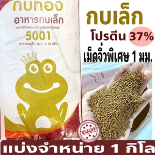 อาหารกบ กบเล็ก เม็ด จิ๋ว, เล็ก อาหารโปรตีนสูง 37% ตรา กบทอง 5001 ( 1 กิโลกรัม )