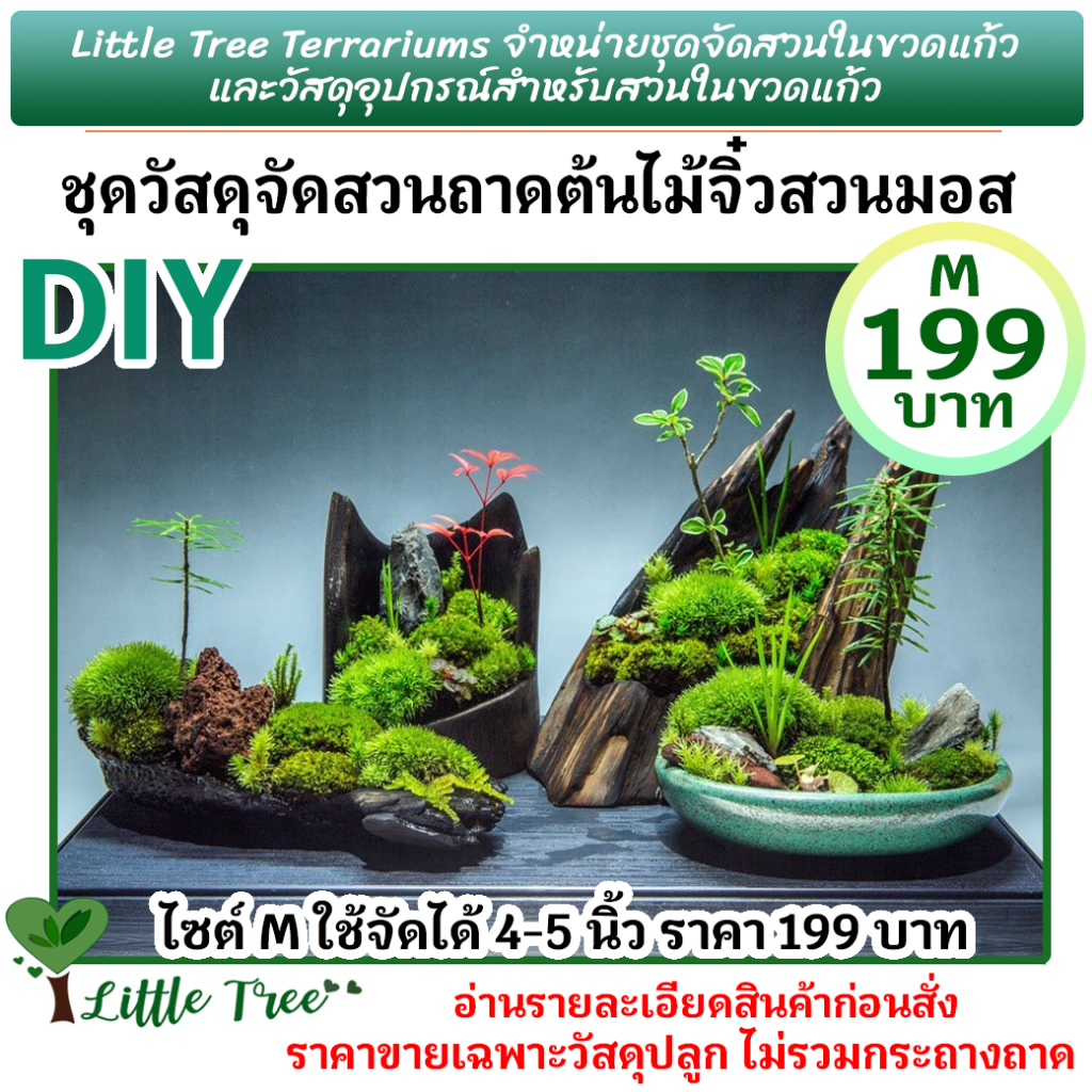 วัสดุจัดสวนถาด M 199 บาท สวนถาดต้นไม้จิ๋ว DIY เฉพาะวัสดุปลูกไม่รวมภาชนะปลูก