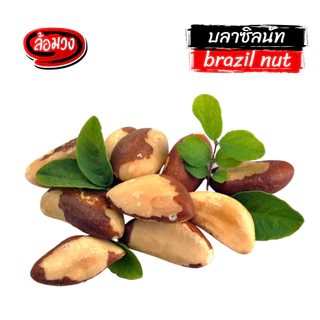 บลาซิลนัท อบไม่ใช้น้ำมัน (brazil nut) by ล้อมวง ถั่ว ธัญพืช