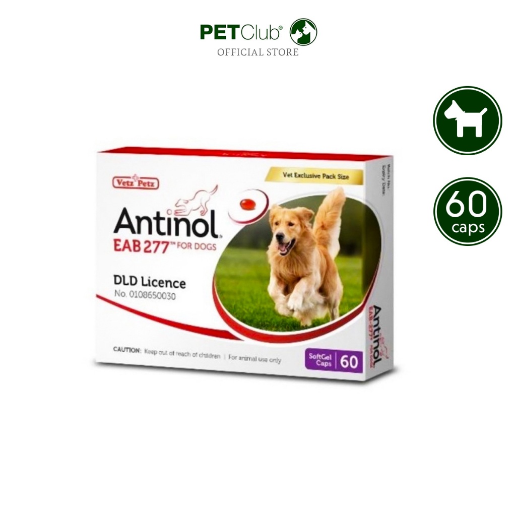 [PETClub] Antinol EAB 277™ - วิตามินบำรุงกระดูกและข้อ สุนัข 60 แคปซูล