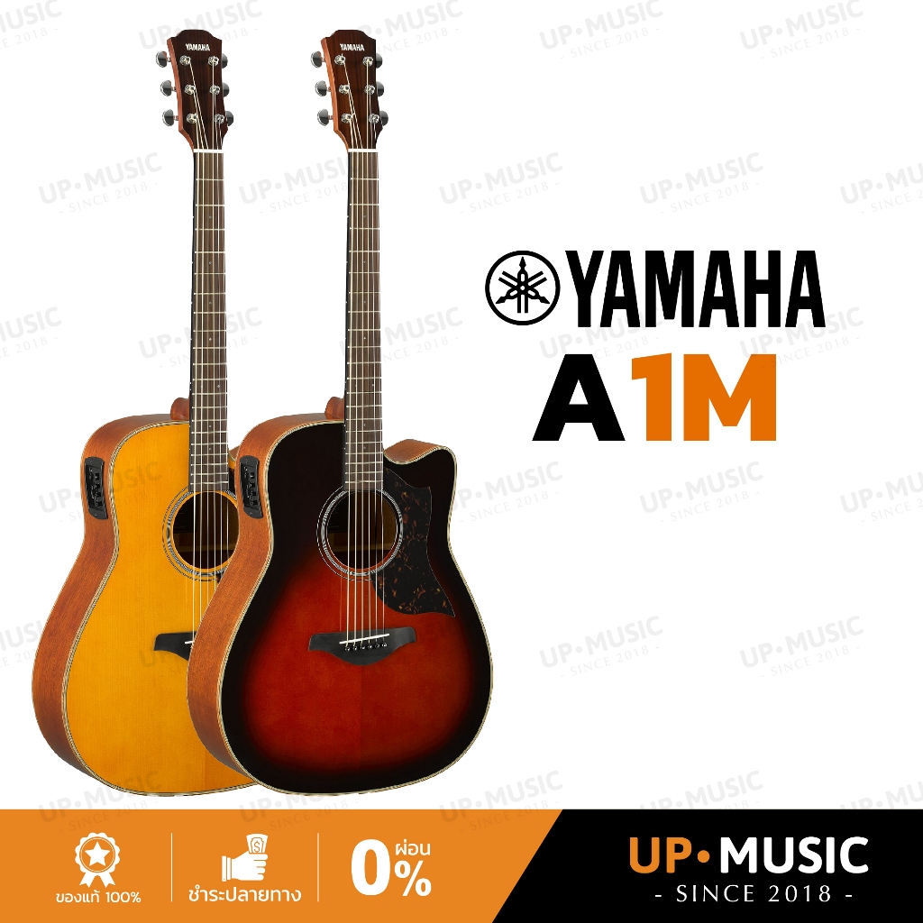 กีตาร์โปร่งไฟฟ้า Yamaha A1M