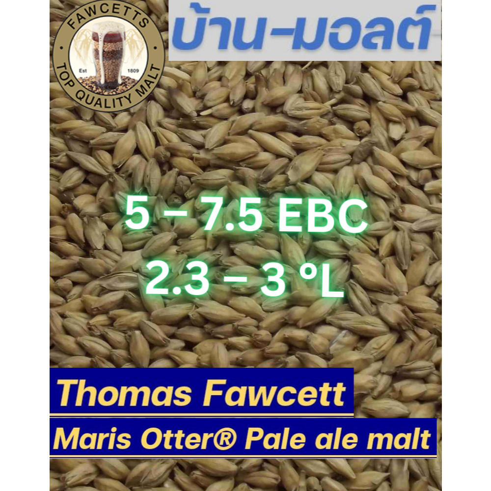 Thomas Fawcett – Maris Otter® Pale ale malt มอลต์