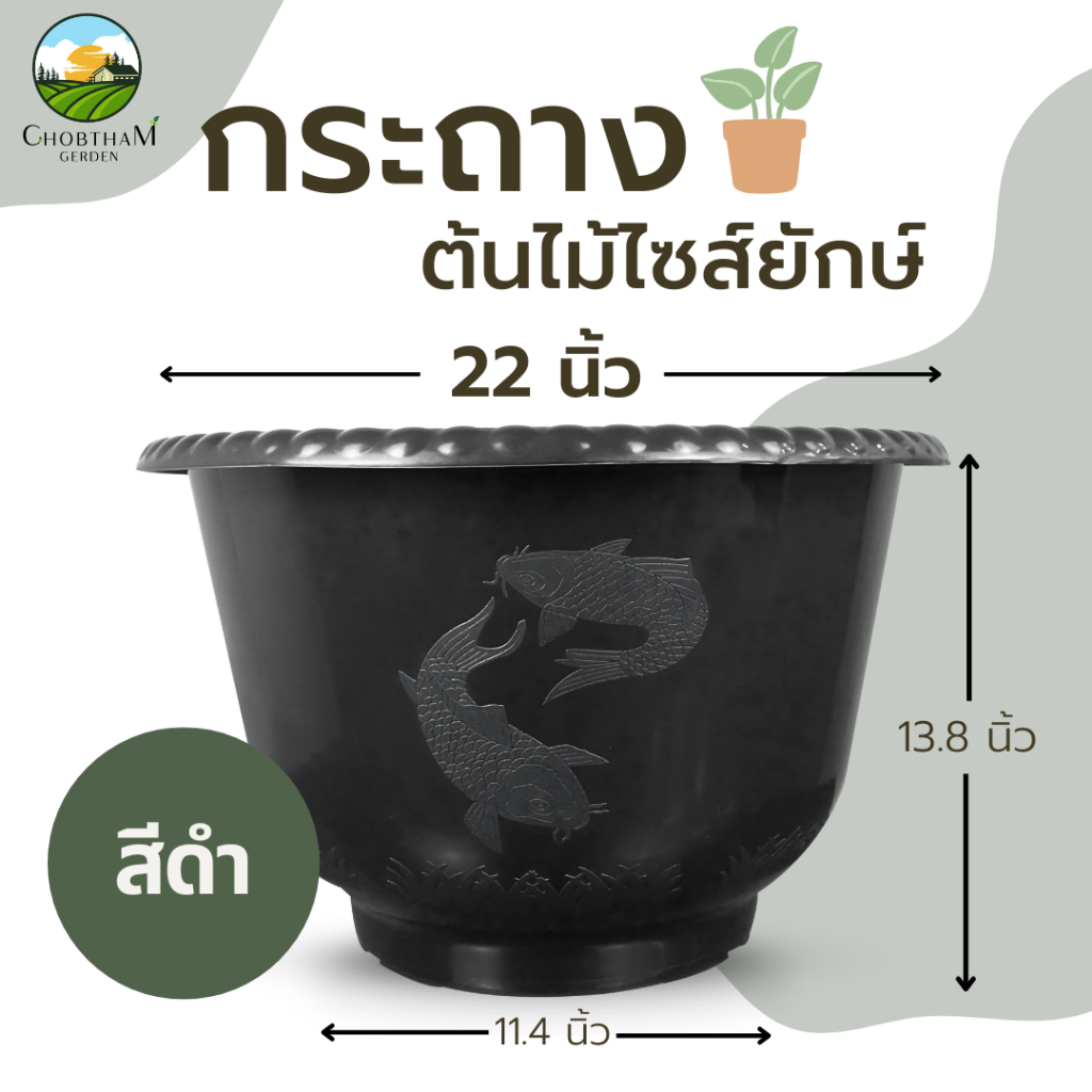 อ่างบัวเลี้ยงปลาพลาสติก  22 นิ้ว กระถางต้นไม้ไซส์ยักษ์ สีดำ อ่างบัวพลาสติก แบบหนา อ่างเลี้ยงปลา  อ่างเลี้ยงบอล อย่างดี