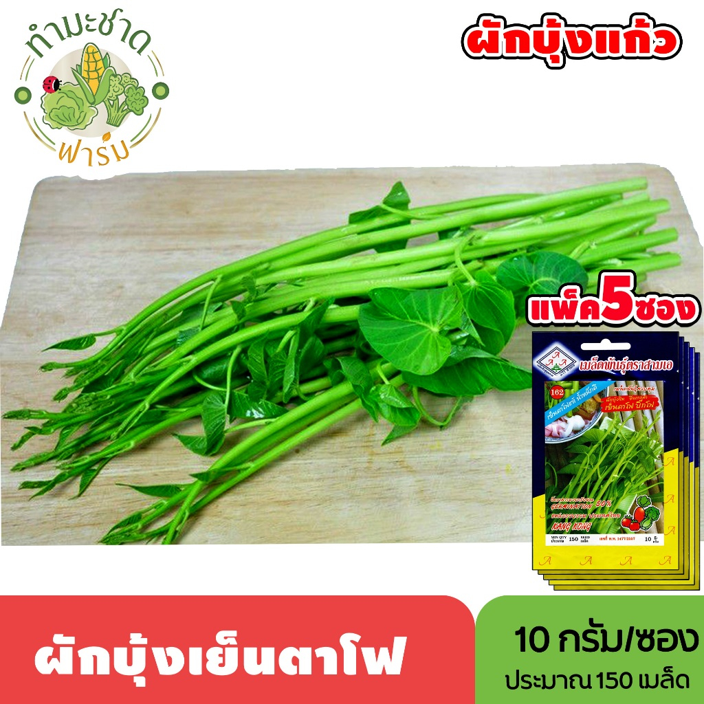 [แพ็ค 5 ซอง] 3A เมล็ดพันธุ์ ผักบุ้งเย็นตาโฟ ขนาดซองละ10กรัม ประมาณ150เมล็ด/ซอง KANG KONG ผักบุ้งแก้ว