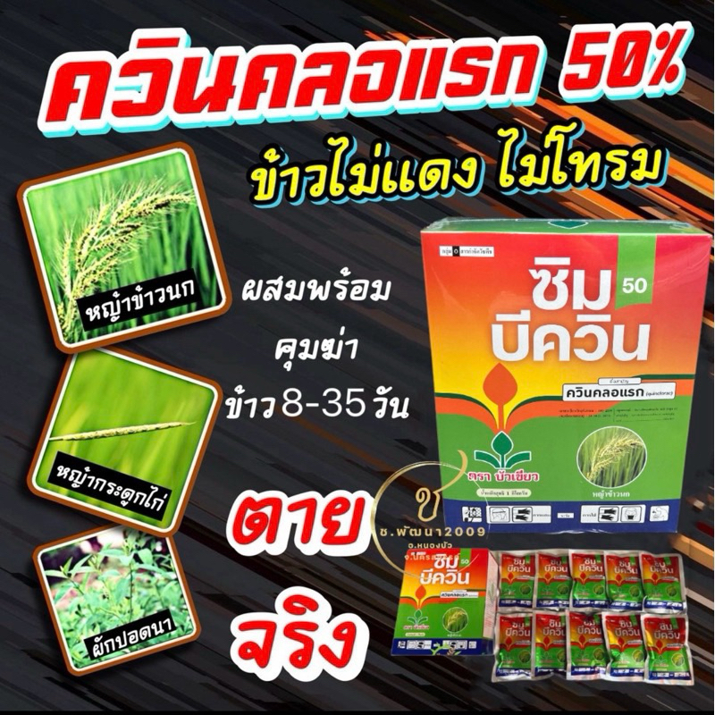 ควินคลอแรก50% ตราบัวเขียว  ซิมบีควิน50 ยกกล่อง1กก.(100กรัมx10ซอง) ยาฉีดหญ้าในนาข้าว🌾 20-25ไร่