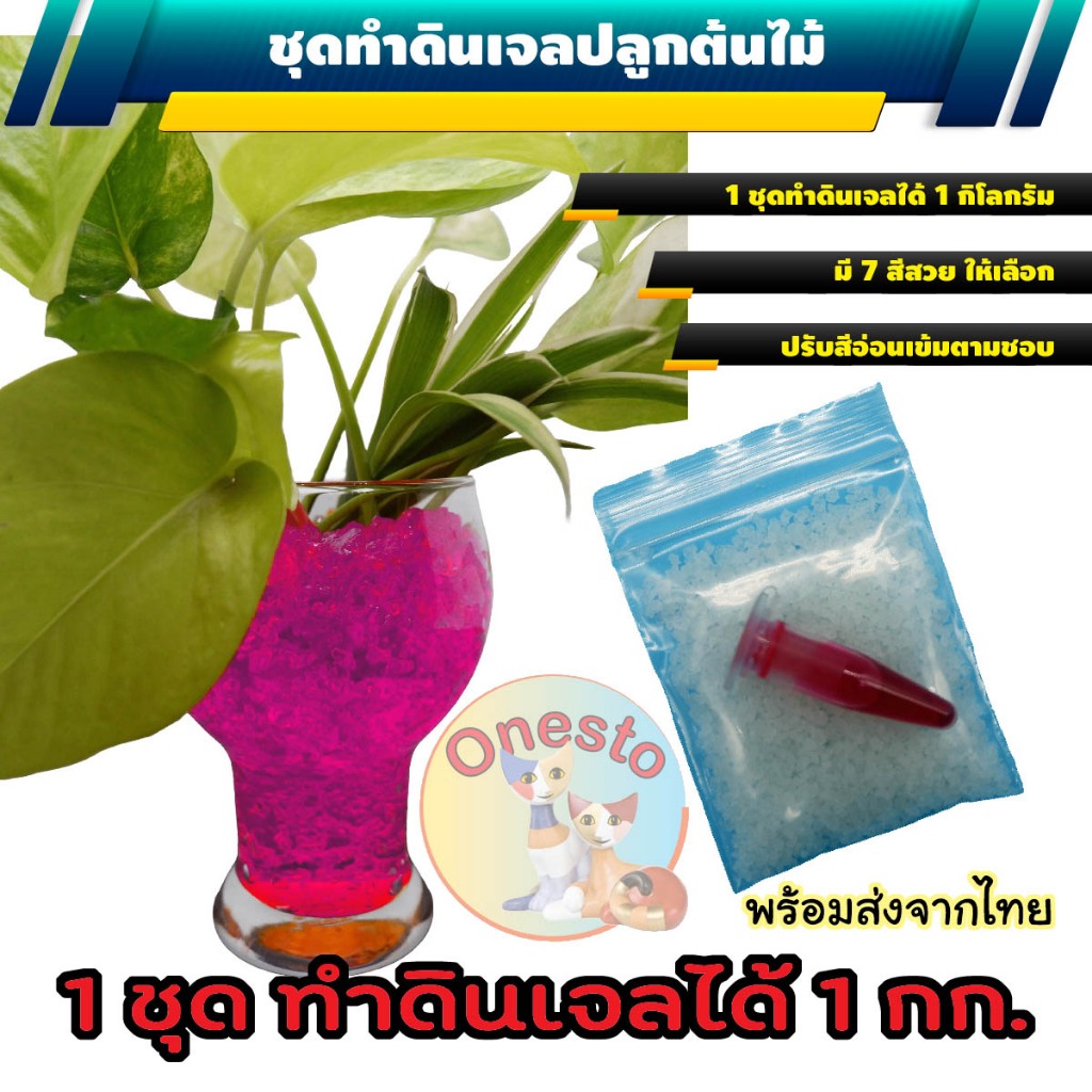 โพลิเมอร์ สารอุ้มน้ำสำหรับการเกษตร ปริมาตร 10 g ปลูกไม้ภายในร่ม พลูด่าง