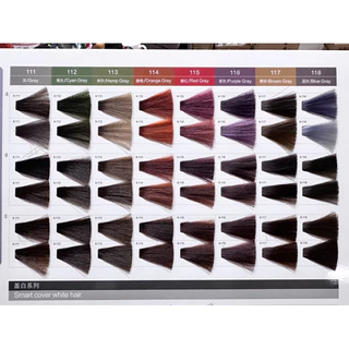 Cestvie สีเชสวี่ สีเคราตินญี่ปุ่น สีย้อมผม ครีมย้อมผม