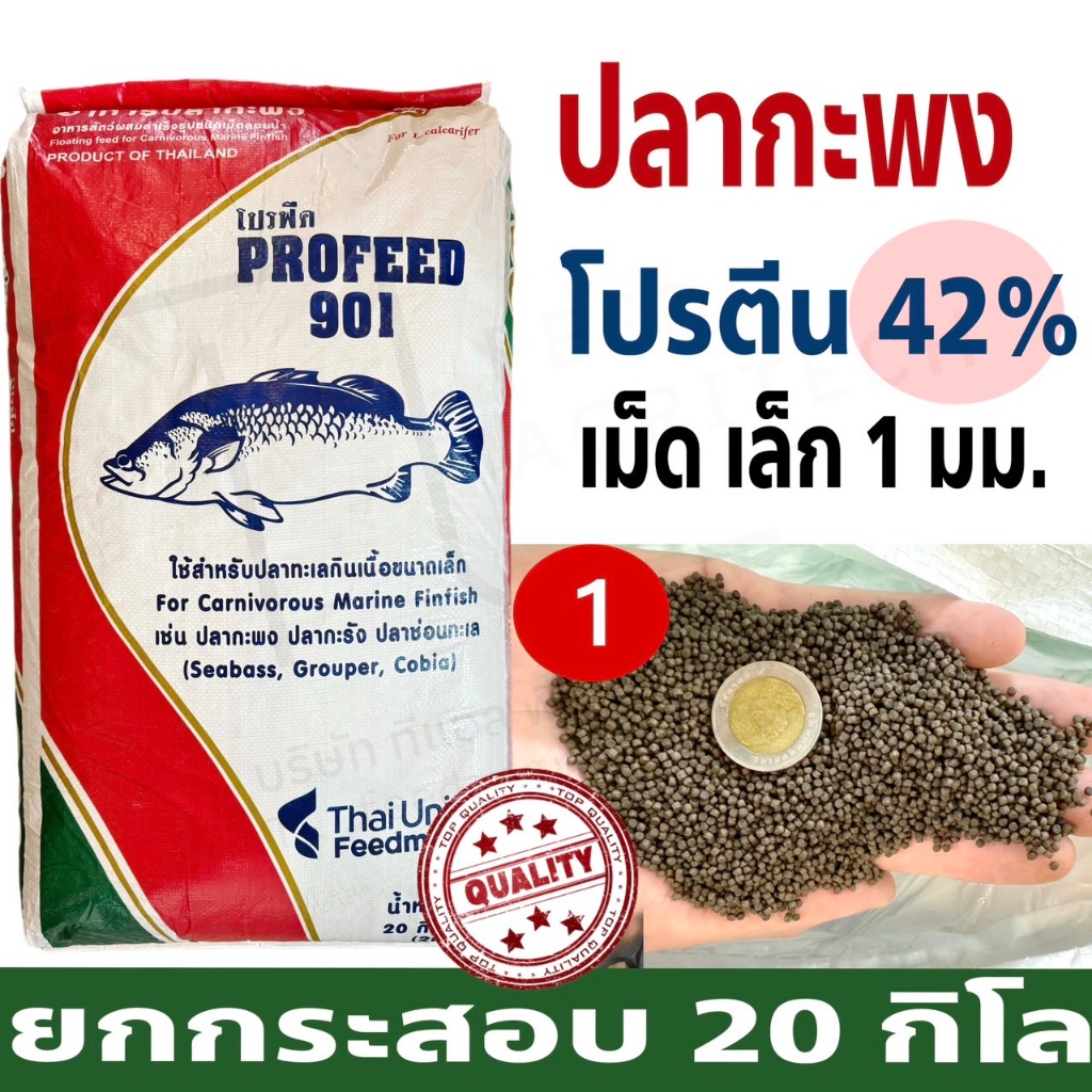 ProFeed อาหารปลากระพง ปลากินเนื้อ โปรฟีด โปรตีน 42% อาหารปลาทะเล 901 ยกกระสอบ 20 กก.