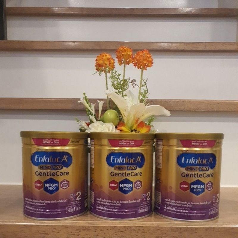 (3 กระป๋อง = ปริมาณ 320×3= 960 กรัม) นมผง Enfalac A+ Mindpro GentleCare สูตร2 ขนาด 320 กรัม