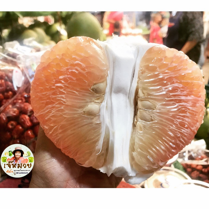 ทองดี🍐(~1-1.1กก/50)อัปเดต25เมย69♻️หวาน60-70%📌ร้านเจ๊หมวย⛩️ตลาดน้ำดอนหวาย