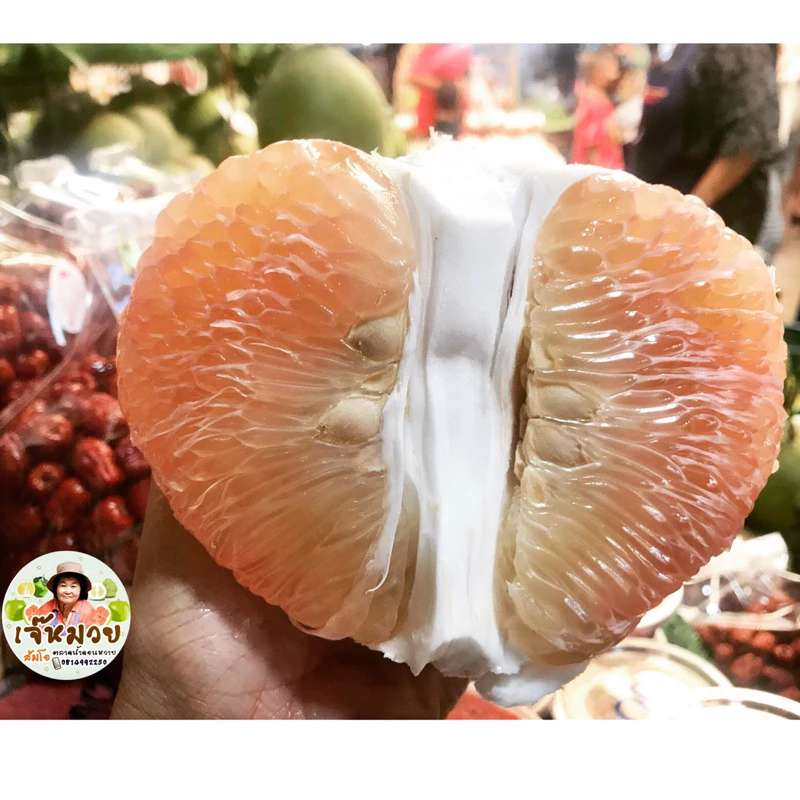 ทองดี🍐(~1-1.1กก/50)อัปเดต12กค69♻️หวาน60-70%📌ร้านเจ๊หมวย⛩️ตลาดน้ำดอนหวาย