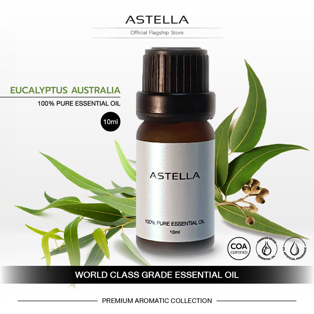 ASTELLA Essential Oil - Eucalyptus Australia | แอสเทลลา น้ำมันหอมระเหย ยูคาลิปตัส ออสเตรเลีย