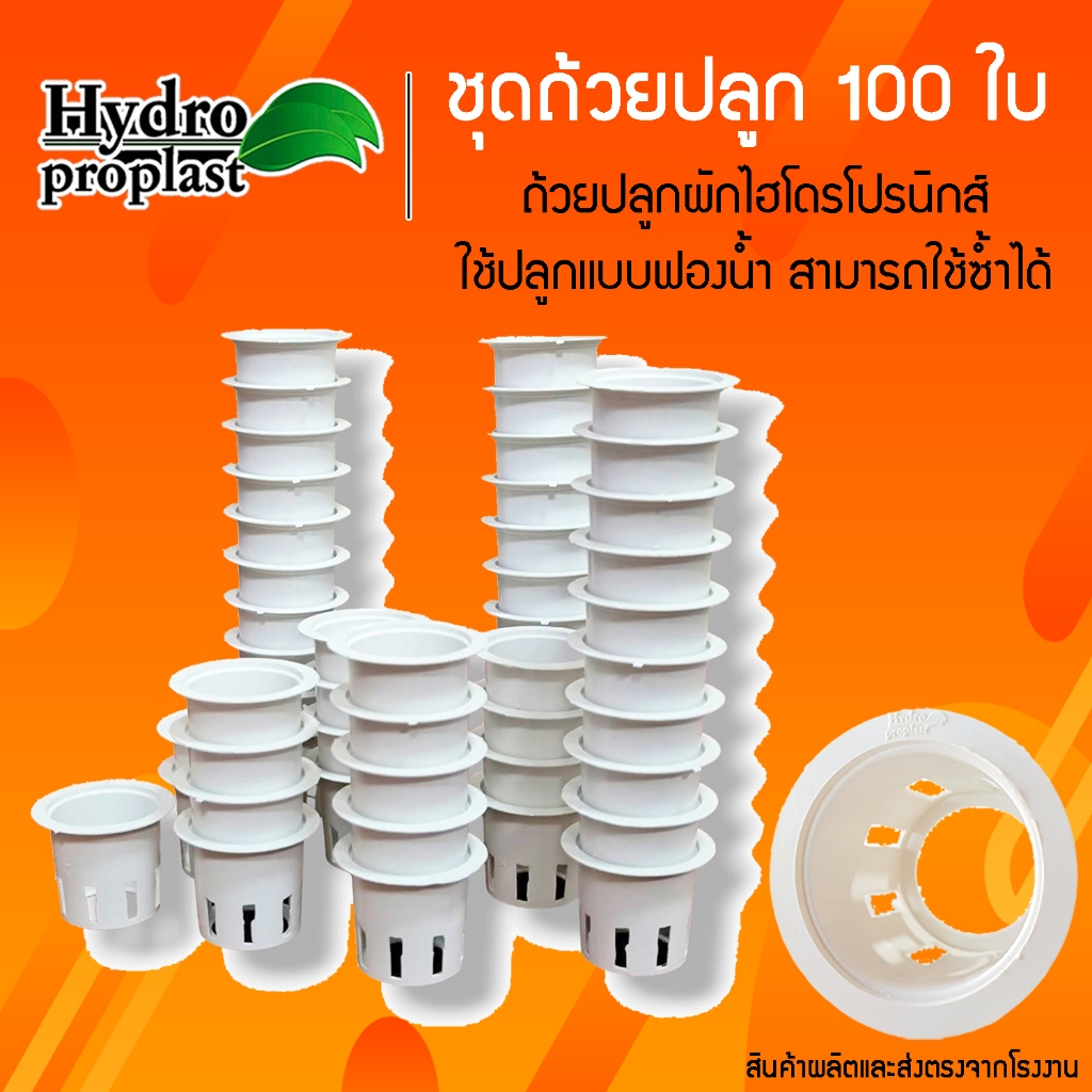 ซื้อ ถ้วยปลูกผักไฮโดรโปนิกส์สีขาว เกรดA แพ็คละ100 ใบ