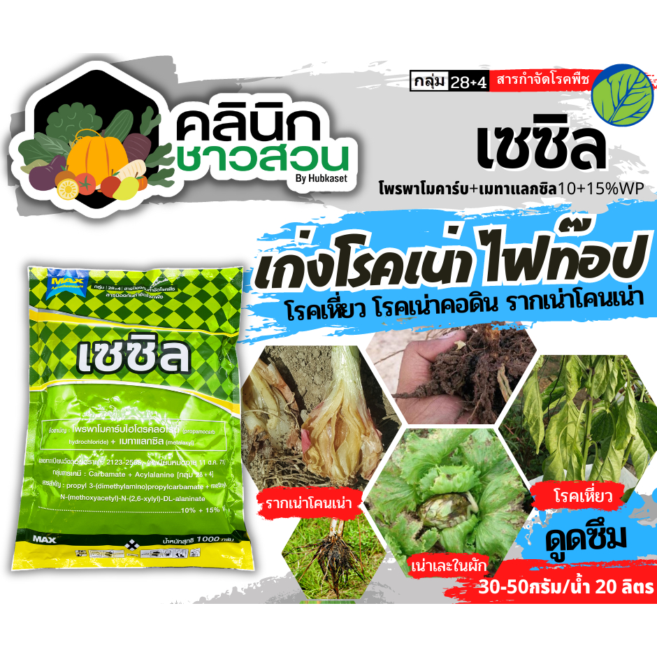 🥬 เซซิล (โพรพาโมคาร์บไฮโดรคลอไรด์+เมทาแลกซิล) บรรจุ 1กิโลกรัม กำจัดไฟท๊อปเทอร่า โรคเน่าเละในหอม โรคเหี่ยว