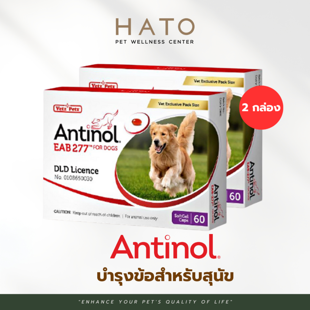 Antinol Dog แอนทินอล อาหารเสริมไขมัน บำรุงข้อ สำหรับสุนัข 2 กล่อง (120 เม็ด) Vetz Petz