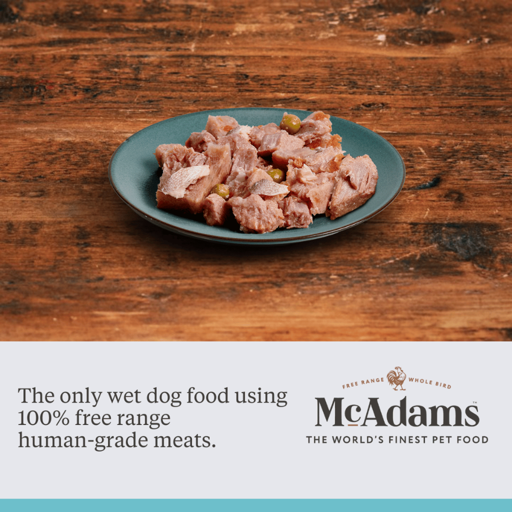 McAdams طعام كلاب رطب ديك رومي وسلمون نرويجي 150 غ — صورة 3
