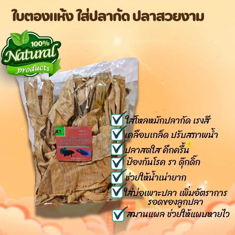 ใบตองแห้ง หมักปลา อนุบาลปลา แหล่งกำเนิด สารแทนนินและพารามิเซี่ยม