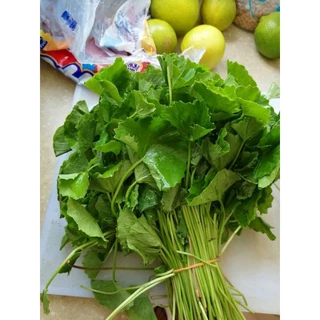 เมล็ดใบบัวบก(ผักหนอก) 0.5 กรัม (5แถม1คละได้)