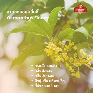ดอกหอมหมื่นลี้ ชาหอมหมื่นลี้ ชาตัวหอม Osmanthus Flower Tea 50g ตราปราชญา