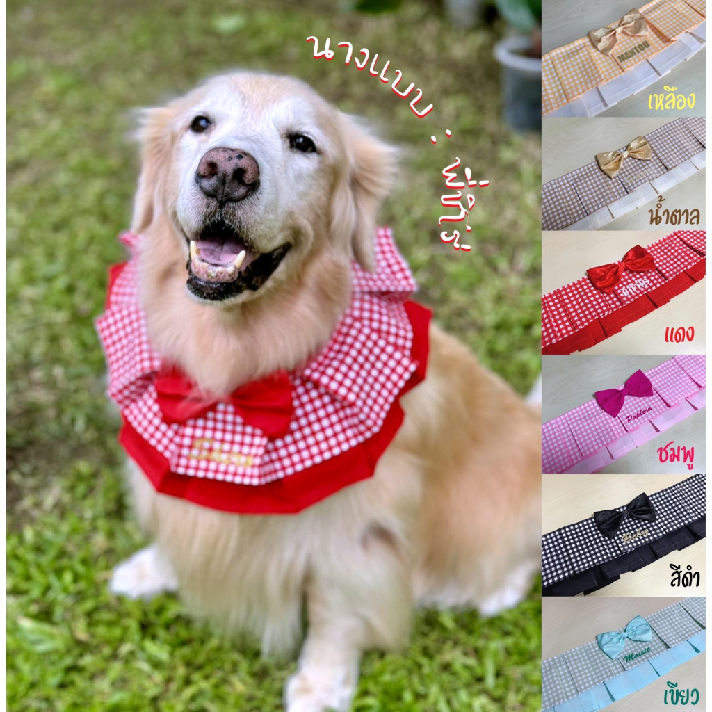Ha-Shi SHOP ปลอกคอสุนัขพันธ์ใหญ่ ทรงระบายสองชั้น ติดชื่อฟรีมีหลายโทนสี