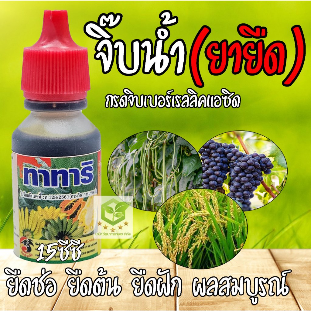 ทาทาริ จิ๊บ ยายืด ขนาด 15ml. ยายืดช่อดอก ยืดรวงข้าว ยืดต้นกล้าพืช