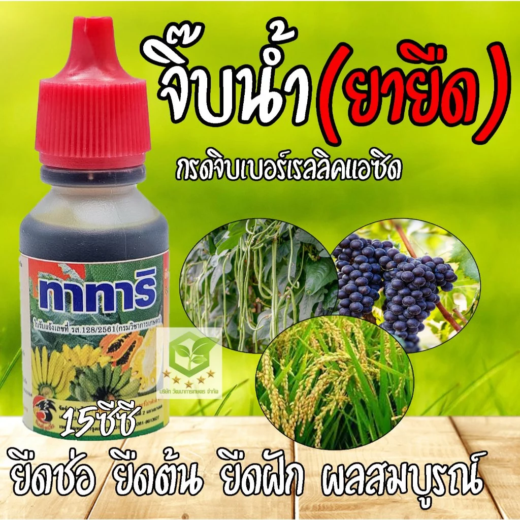 ทาทาริ จิ๊บ ยายืด ขนาด 15ml. ยายืดช่อดอก ยืดรวงข้าว ยืดต้นกล้าพืช