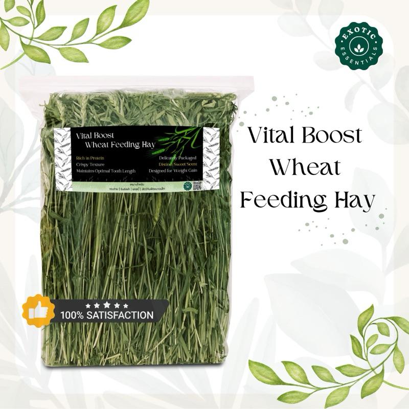 Exotic Essentials 🌿Wheat Hay หญ้าวีทพรีเมียมอบลมร้อน โปรตีนสูงแคลเซียมต่ำ ช่วยฟื้นฟูร่างกายสำหรับกระ