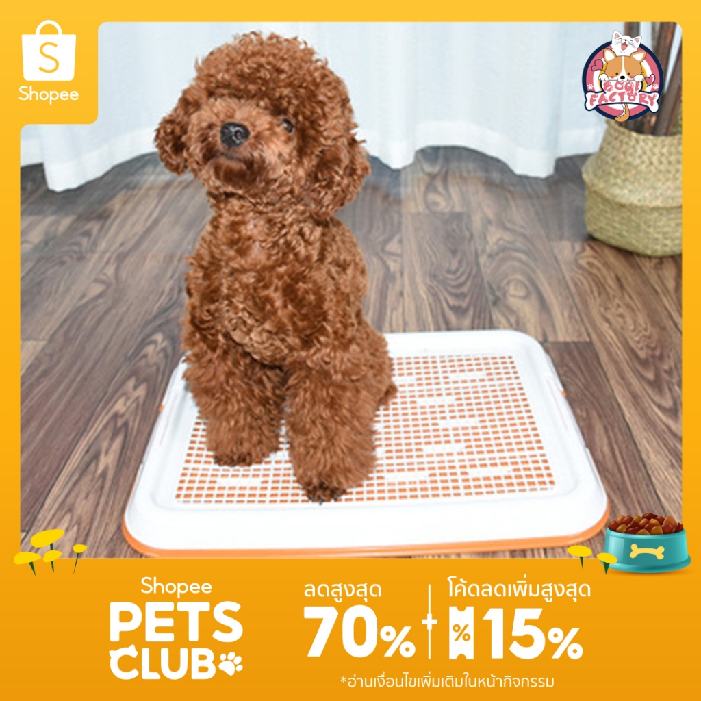 Boqi Factory ห้องน้ำสุนัข แผ่นรองฉี่สุนัข ถาดรองฉี่สุนัข ถาดรองฉี่สุนัข 2 ชั้น CF-T1
