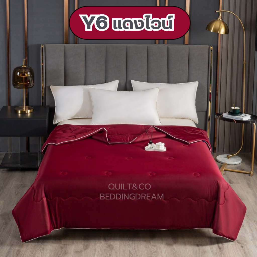 ผ้าห่มใยไหมน้ำแข็ง QUILT&CO BEDDINGDREAM งานคุณภาพ นุ่ม ลื่น เย็นสบาย กันไรฝุ่น ไม่ติดขนสัตว์ รูปที่ 5