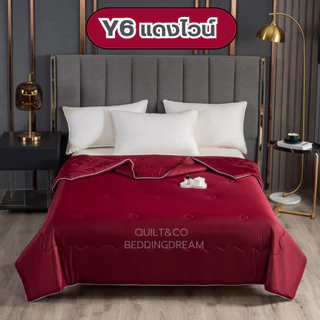 ผ้าห่มใยไหมน้ำแข็ง QUILT&CO BEDDINGDREAM งานคุณภาพ นุ่ม ลื่น เย็นสบาย กันไรฝุ่น ไม่ติดขนสัตว์