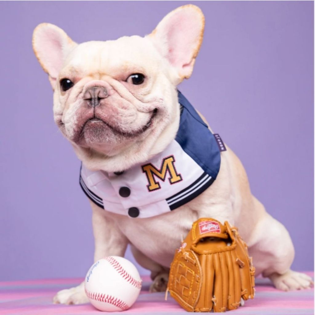 Momoji Basepaws Blue Pet Bib ชุดสุนัข ชุดแมว