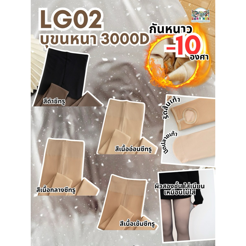 รูปภาพ 2