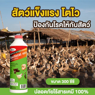 Bactocel 4001 300cc* จุลิทรีย์กำจัดกลิ่นเหม็นคอกสัตว์ แบคโตเซล ลดแมลงวัน กำจัดกลิ่นมูลสัตว์ ลดกลิ่น