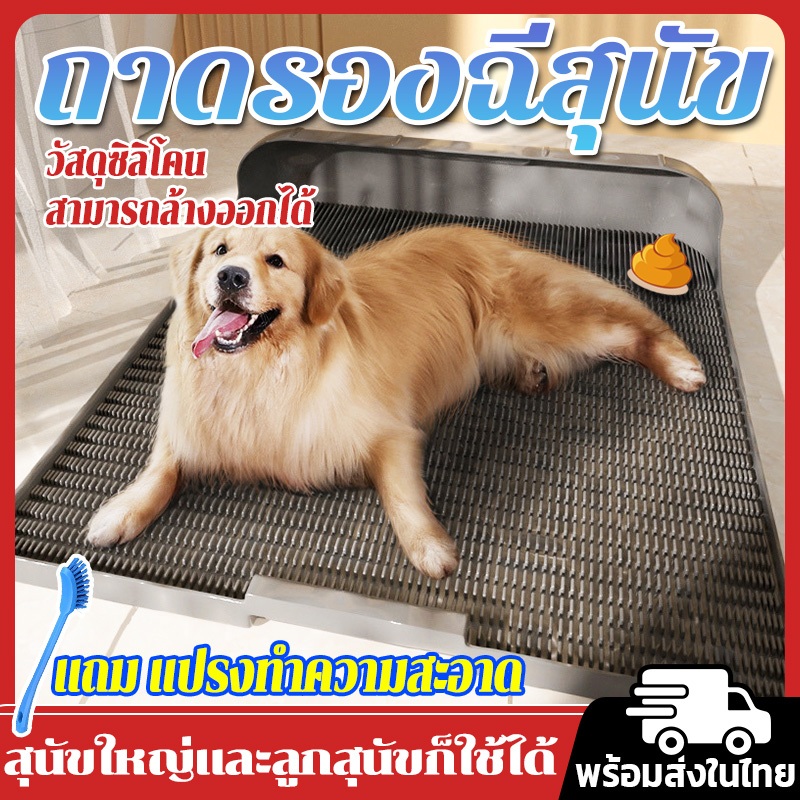 สามารถล้างออกได้🚾ถาดฉี่สุนัข สัตว์เลี้ยงสุนัข ห้องน้ําแบบบูรณาการ การถ่ายอุจจาระสุนัข กันลื่น 55*60cmแถม แปรงทําความสะอา