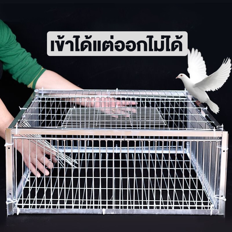 กรงดักนกพิราบ ดักนกกวัก กับดักนก กรงดักนก ใช้งานง่ายดักได้ทีละ หลายๆตัว กรงไก่ กรงกระต่าย กรงหนู กรงแมว