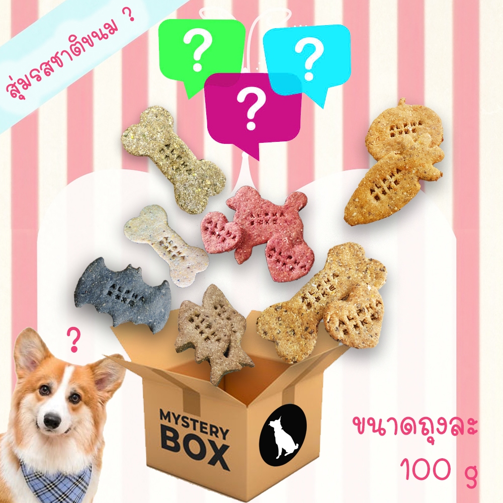 กล่องสุ่มขนมสุนัข ขนมหมา คุกกี้สำหรับสุนัข ขนมโฮมเมดสุนัข หลากรส 100ก บิสกิตสุนัขเพื่อสุขภาพ