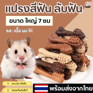 [HiHamster] แปรงสีฟัน ที่ลับฟัน สำหรับสัตว์เลี้ยง แฮมเตอร์เม่นแคระ