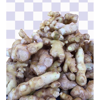 เหง้าขมิ้นขาว/หัวขมิ้นขาว 1 กิโลกรัม