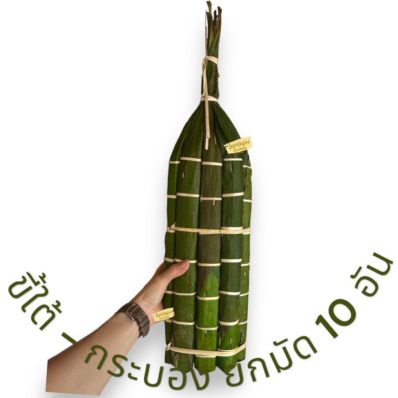 ขี้ใต้ หรือ กระบอง ยกมัด 10 อัน
