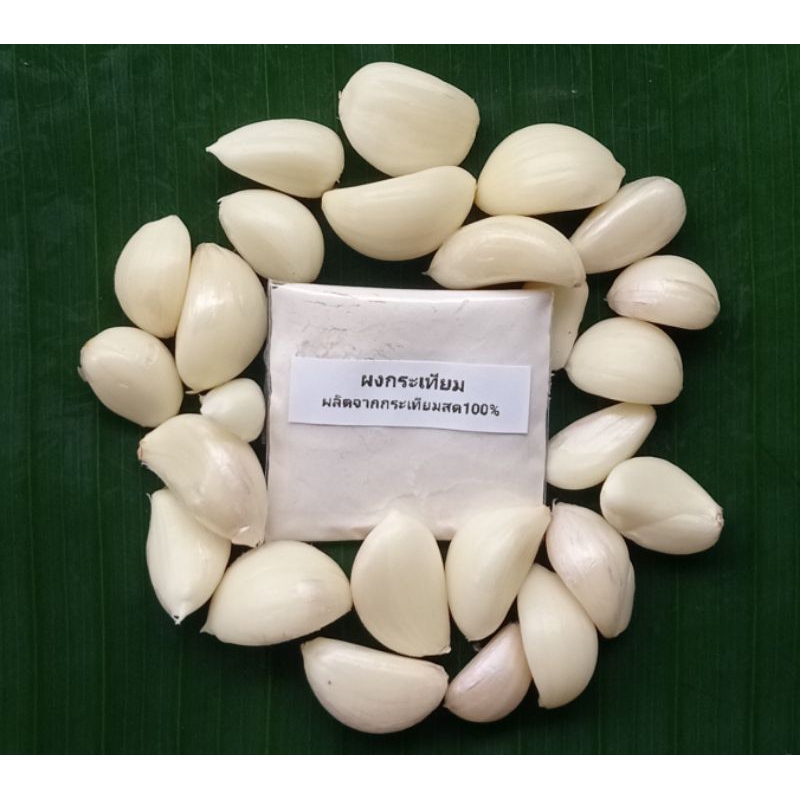 ผงกระเทียม (garlic powder) ผลิตจากกระเทียมสด ฟรีซดราย