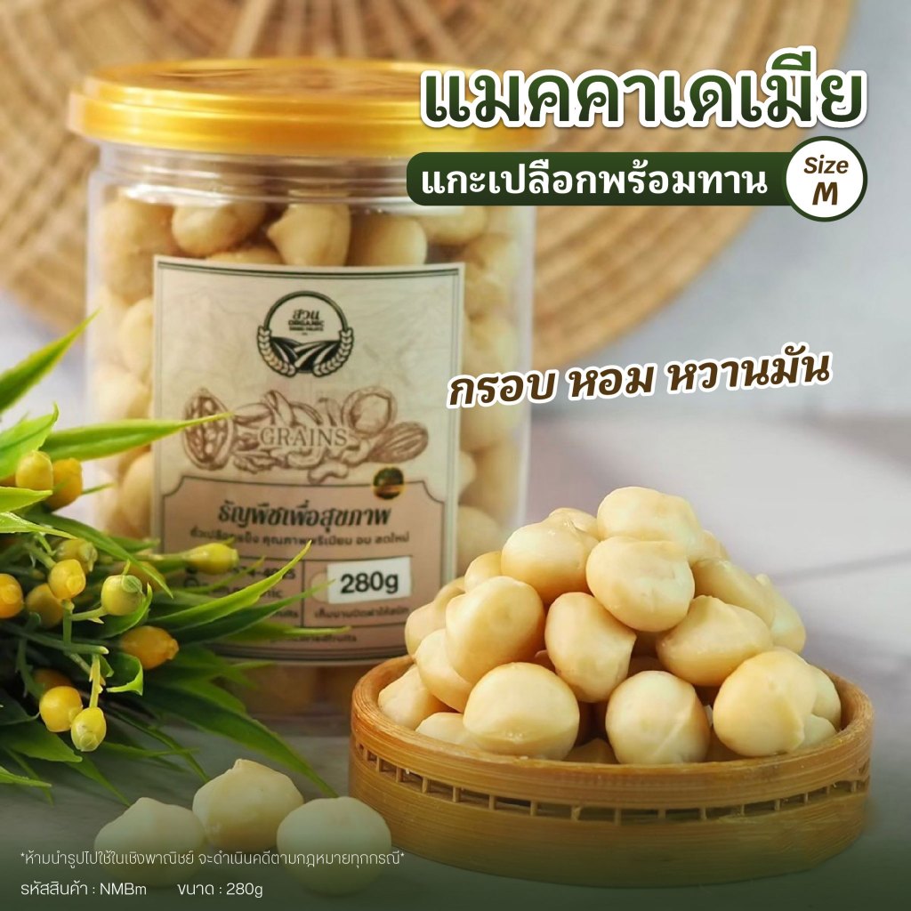 แมคคาเดเมีย แกะเปลือกเม็ดเต็ม คัดคุณภาพ Size M 280 g [ สวนOrganic ]