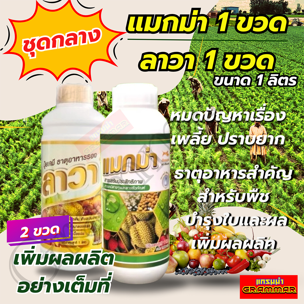 [ ส่งฟรี ] แมกม่าลาวา แมกม่า ( 1000 ซีซี ) ต้านเพลี้ยลดการหลุดร่วง + ปุ๋ยนำ้ลาวา ( 1000 ซีซี ) เร่งฟื้นฟูต้นเพิ่มปริมาณ